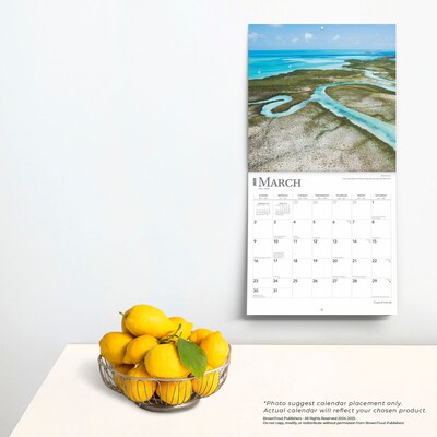 2025 BrownTrout Tropical Islands 12" x 12" Monthly Wall Calendar (9781975477899)