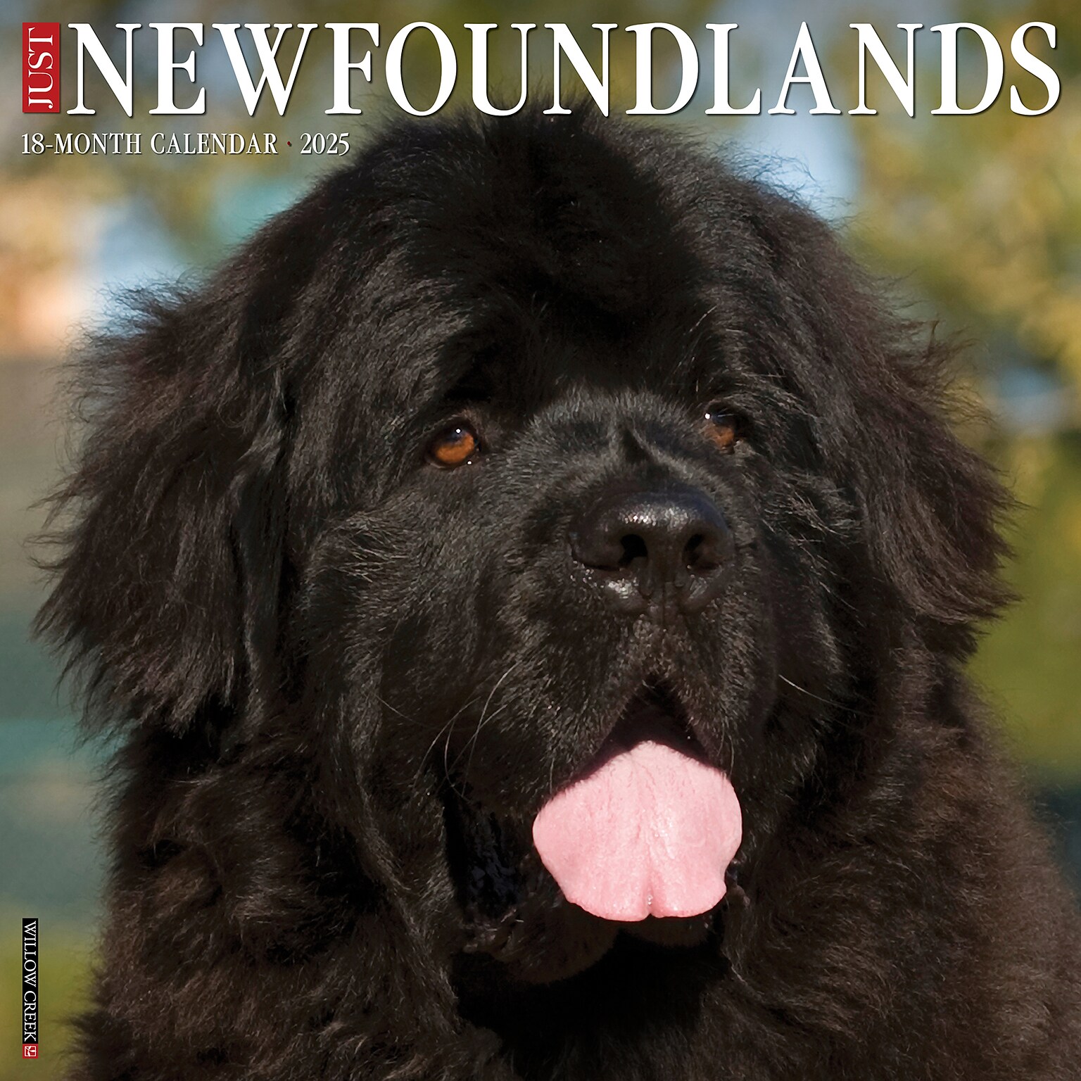 2025 Willow Creek Just Newfoundlands 12 x 12 Monthly Wall Calendar (44209)