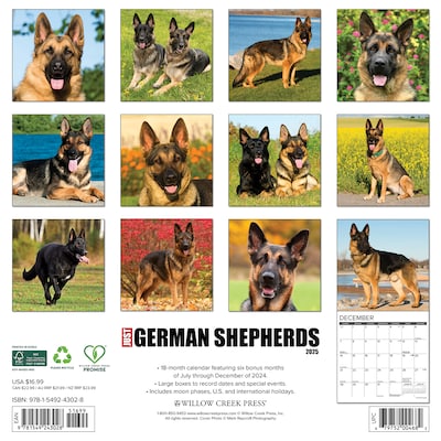 2025 Willow Creek German Shepherds 12 x 12 Yearly Wall Calendar (43028)