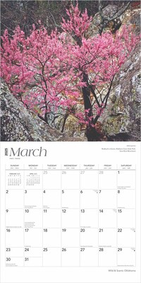 2025 BrownTrout Oklahoma Wild & Scenic 12" x 12" Monthly Wall Calendar (9781975475482)