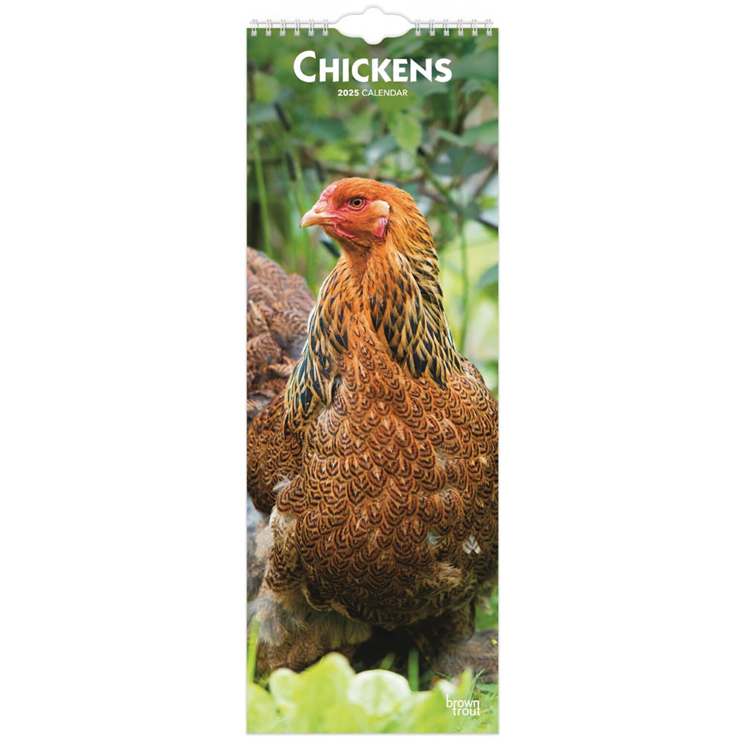 2025 BrownTrout Chickens 7 x 12 Monthly Slimline Wall Calendar (9781975478483)