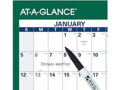 2025 AT-A-GLANCE 32" x 48" Yearly Wet-Erase Wall Calendar, Reversible, White/Green (PM310-28-25)
