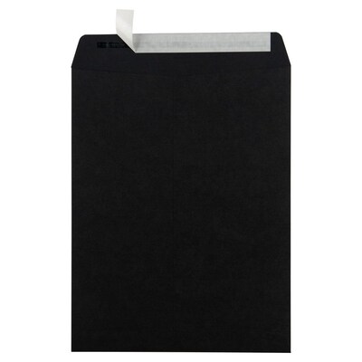 JAM Paper 10" x 13" Open End Catalog Envelopes, Black, 10/Pack (87733B)