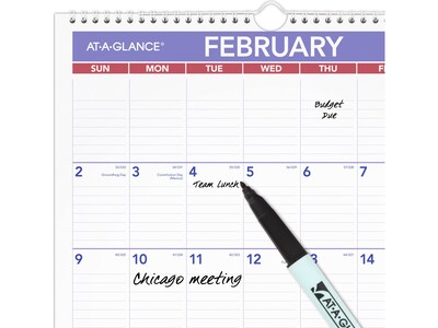 2025 AT-A-GLANCE 17" x 12" Monthly Wet-Erase Wall Calendar (PMLM02-28-25)