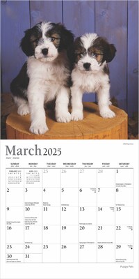 2025 Plato Puppy Pals 7" x 14" Monthly Mini Wall Calendar, (9781975478971)