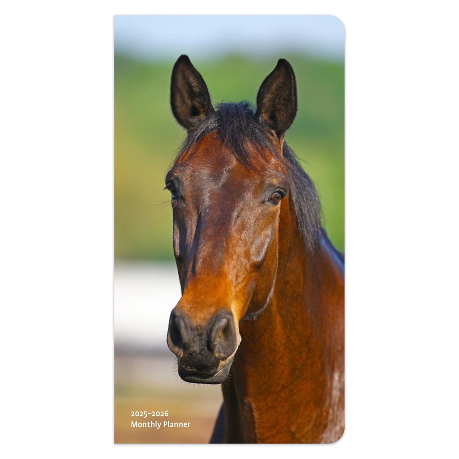 2025 BrownTrout Horse Lovers 3.5 x 6.5 Monthly Two Year Pocket Planner, Paper Cover, Multicolored (9781975474348)