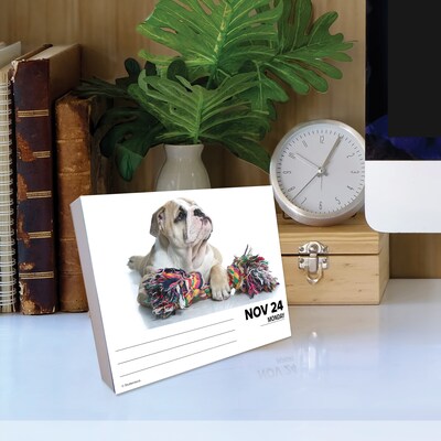 2025 Willow Creek Bulldogs 6" x 5.5" Day-to-Day Calendar, Multicolor (40706)