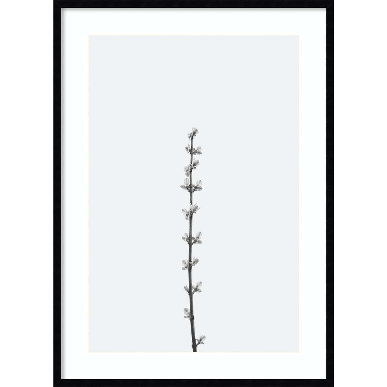 Amanti Art Retro Tennessee Botanical Print No 1 by Stephanie Klatt Wood Framed Wall Art Print, 30 x 41 (A42678254808)