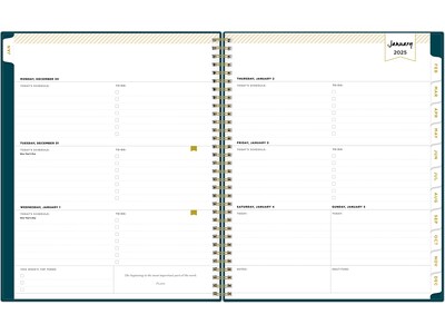2025 Blue Sky Day Designer Peacock 8.5" x 11" Weekly & Monthly Planner, Plastic Cover, Blue (143889-25)