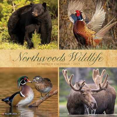 2025 Willow Creek Northwoods Wildlife 12 x 12 Monthly Wall Calendar (44230)