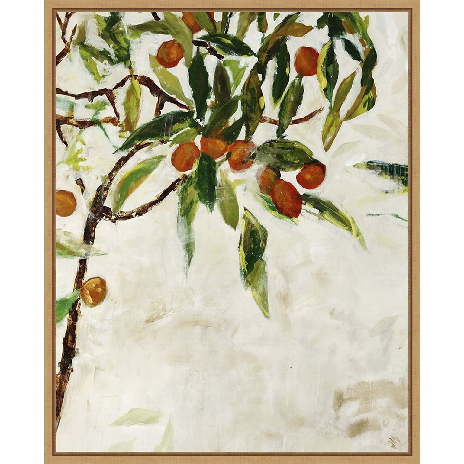 Amanti Art Kumquat Tree by Jodi Maas Framed Canvas Wall Art Print, 23 x 28 (A42677747772)