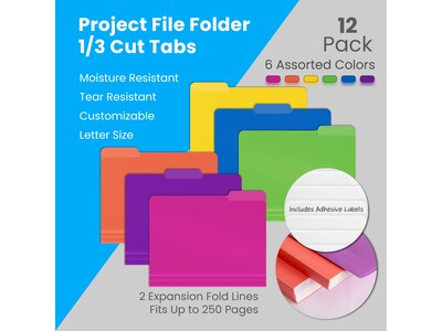 Better Office Heavy-Duty File Folders, 1/3-Cut Tab, Letter Size, Polypropylene, Neon Assorted Colors, 12/Pack (89021-12PK)