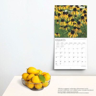 2025 BrownTrout Texas Wildflowers 12" x 12" Monthly Square Wall Calendar (9781975475802)