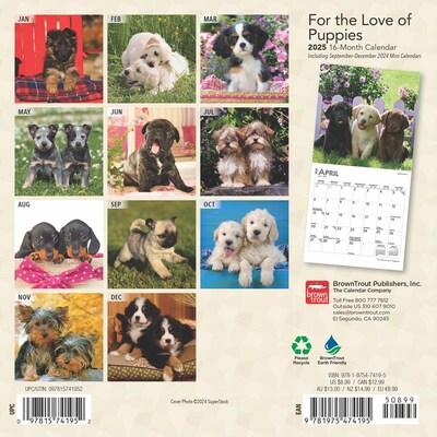 2025 BrownTrout For the Love of Puppies 7" x 14" Monthly Mini Wall Calendar, (9781975474195)