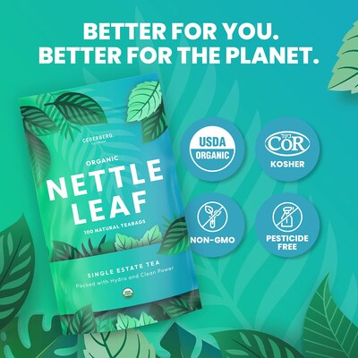 Cederberg Tea Company Organic Nettle Leaf Herbal Tea, Caffeine Free, 100 Tea Bags/Pack (CT-NETT)