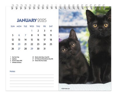 2025 BrownTrout Kittens 7.5" x 6" Monthly Desk Calendar (9781975481629)