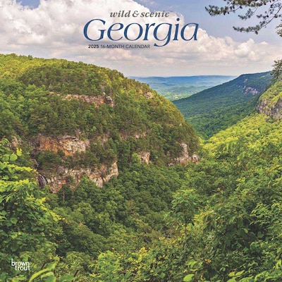 2025 BrownTrout Georgia Wild & Scenic 12 x 12 Monthly Square Wall Calendar (9781975474836)