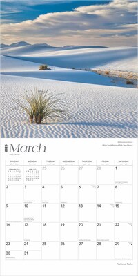 2025 BrownTrout National Parks 12" x 12" Monthly Wall Calendar (9781975475345)