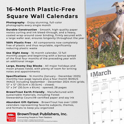 2025 BrownTrout Italian Greyhounds 12" x 12" Monthly Wall Calendar (9781975478308)