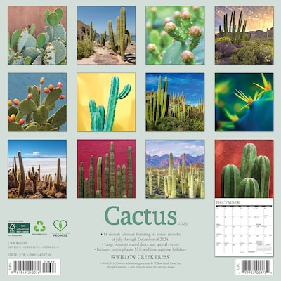 2025 Willow Creek Cactus 12 x 12 Monthly Wall Calendar (42076)