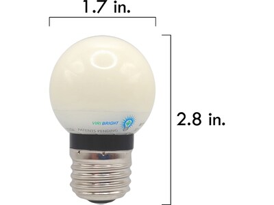 Viribright 2-Watt Daylight LED Bulb, Dozen (74566-12)