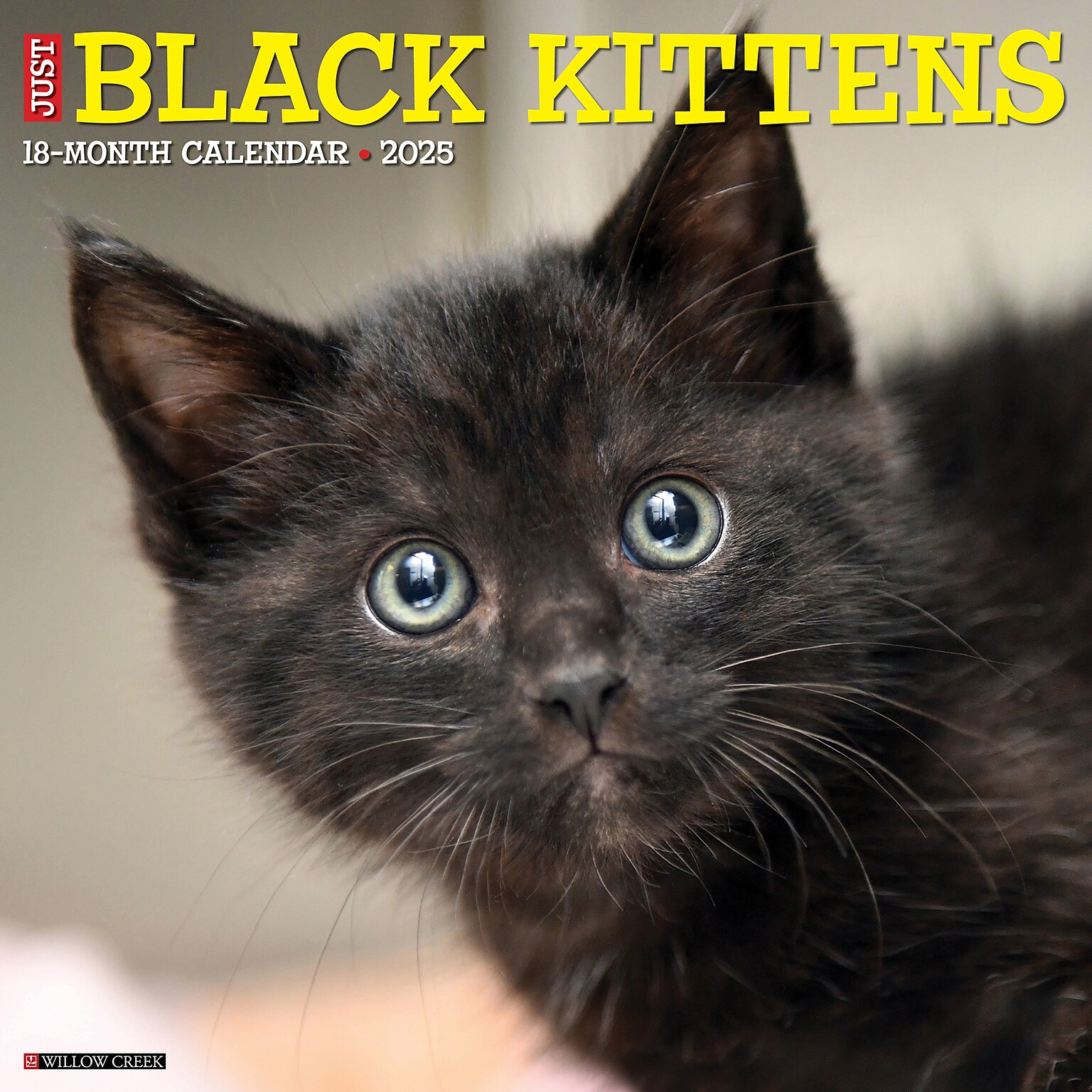 2025 Willow Creek Just Black Kittens 12 x 12 Monthly Wall Calendar, Multicolor (41840)