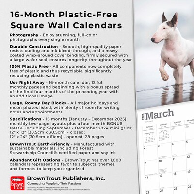 2025 BrownTrout Bull Terriers 12" x 12" Monthly  Wall Calendar (9781975476748)