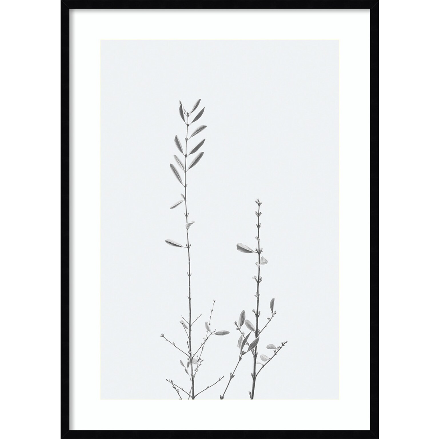 Amanti Art Retro Tennessee Botanical Print No 2 by Stephanie Klatt Wood Framed Wall Art Print, 30 x 41 (A42678254856)