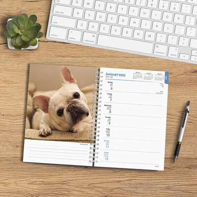 2025 BrownTrout French Bulldogs 6" x 7.75" Weekly Engagement Planner, Paper Cover, Multicolored (9781975483159)