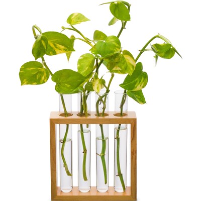 Supertek Square Plant Holder (SKFBLSP1003B)