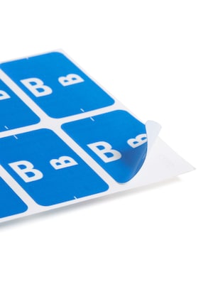 Smead® Alpha-Z Color-Coded Second Letter "B" Labels, 10 Labels Per Sheet, Dark Blue, 1"H x 1 5/8"W, 100 Labels/Pk