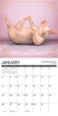 2025 Willow Creek Pig Pilates 12" x 12" Monthly Wall Calendar (44452)