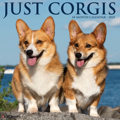 2025 Willow Creek Just Corgis 12 x 12 Monthly Wall Calendar (42564)