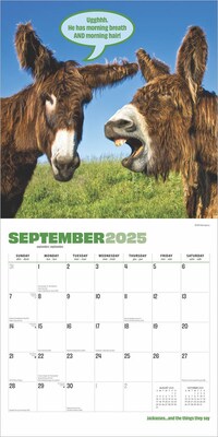 2025 BrownTrout Jackasses 12" x 12" Monthly Wall Calendar (9781975477240)