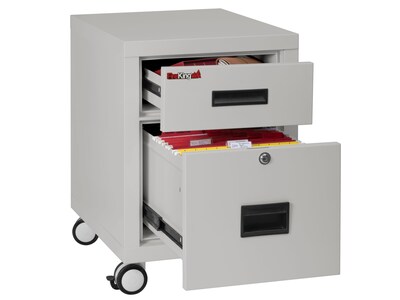 FireKing 2-Drawer Mobile Vertical File Cabinet, Letter/Legal Size, Lockable, Fire Resistant, Platinu