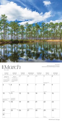 2024 BrownTrout Georgia Wild & Scenic 12" x 24" Monthly Wall Calendar (9781975462802)