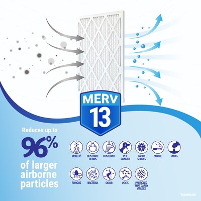 Brighton Professional™ MERV 13 20" x 20" x 1"/19.5" x 19.5" Pleated Air Filter, 4/Pack (FD20X20_4)