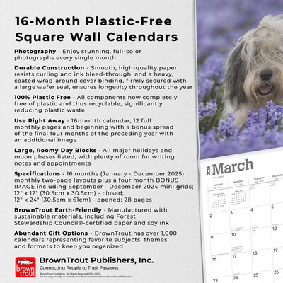 2025 BrownTrout Old English Sheepdogs 12" x 12" Monthly  Wall Calendar (9781975477486)