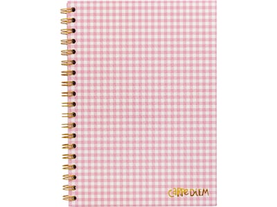 Carpe Diem Ballerina Pink Check 1-Subject Notebook, 7.5 x 9.75, Wide-Ruled, 80 Sheets, Pink/White