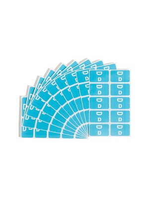 Smead AlphaZ ACCS Color-Coded Alphabetic Labels, D, Light Blue w/White, 100/Pack (67174)