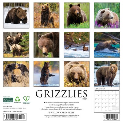 2025 Willow Creek Grizzlies 12 x 12 Monthly Wall Calendar (43240)