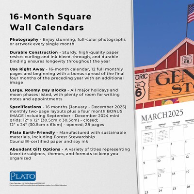 2025 Plato America's Flag 12" x 12" Monthly  Wall Calendar (9781975478759)