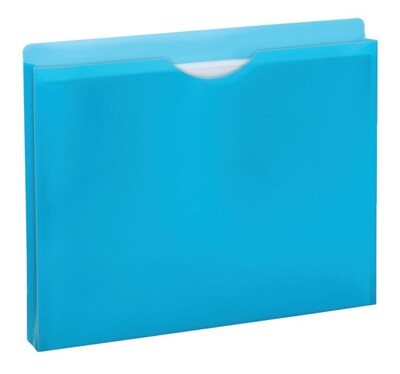 Pendaflex Glow Plastic File Jacket, 1 Expansion, Letter Size, Assorted, 5/Pack (50992)