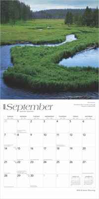 2025 BrownTrout Wyoming Wild & Scenic 12" x 12" Monthly  Wall Calendar (9781975475987)