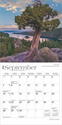 2025 BrownTrout California Nature 7" x 7" Monthly  Wall Calendar (9781975473495)