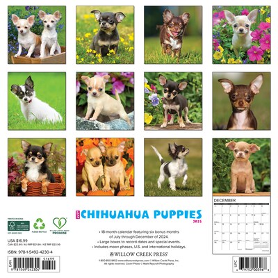 2025 Willow Creek Just Chihuahua Puppies 12 x 12 Monthly Wall Calendar (42304)