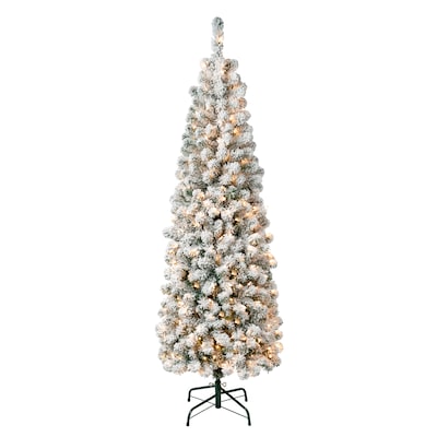 National Tree Company Acacia Artificial Christmas Trees (AC100-304-60F)