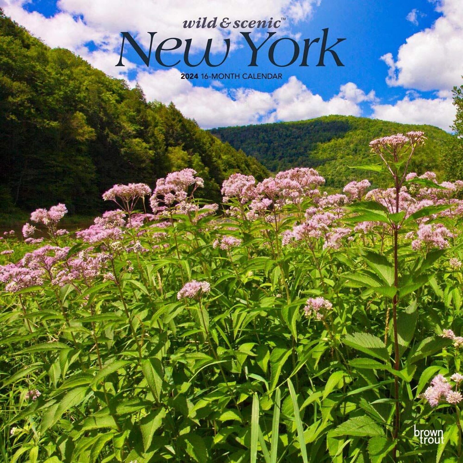 2024 BrownTrout New York Wild & Scenic 12 x 24 Monthly Wall Calendar (9781975464288)