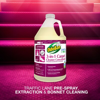 OdoBan Professional 3-in-1 Carpet Cleaner, 1 Gallon (9602B62-G4)