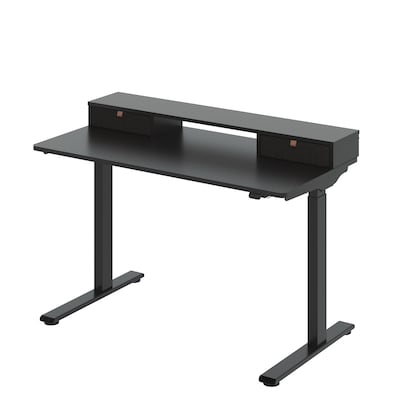 FlexiSpot EC9B Series 48W Electric Adjustable Standing Desk, Black (EC9BDO04B)